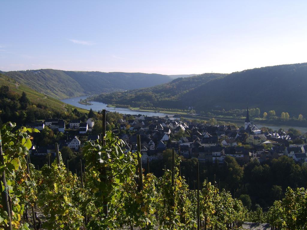 Weingut Matthias Dauns Lägenhet Reil Exteriör bild
