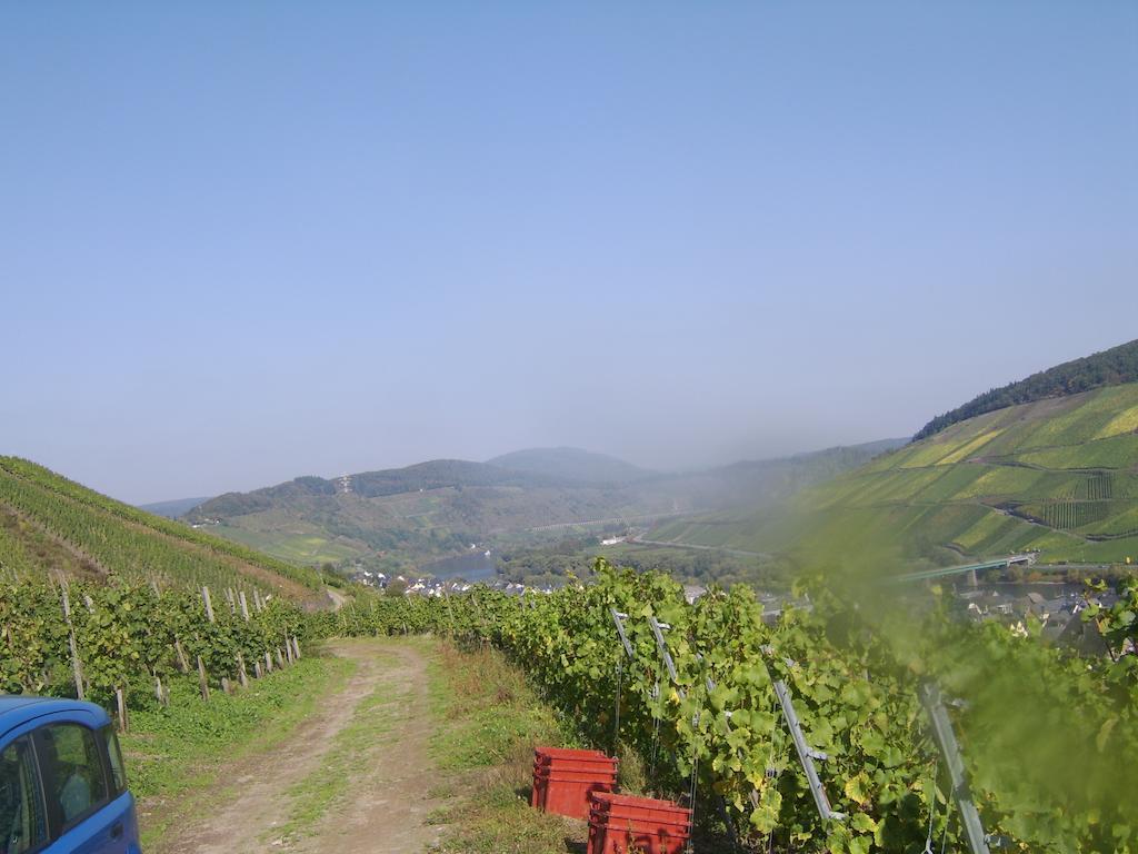 Weingut Matthias Dauns Lägenhet Reil Exteriör bild