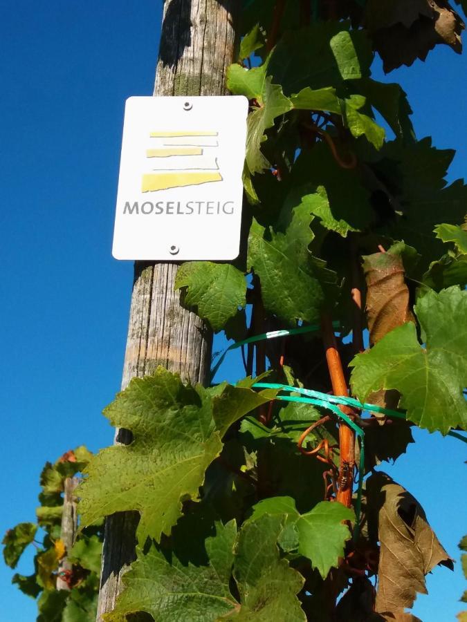 Weingut Matthias Dauns Lägenhet Reil Exteriör bild